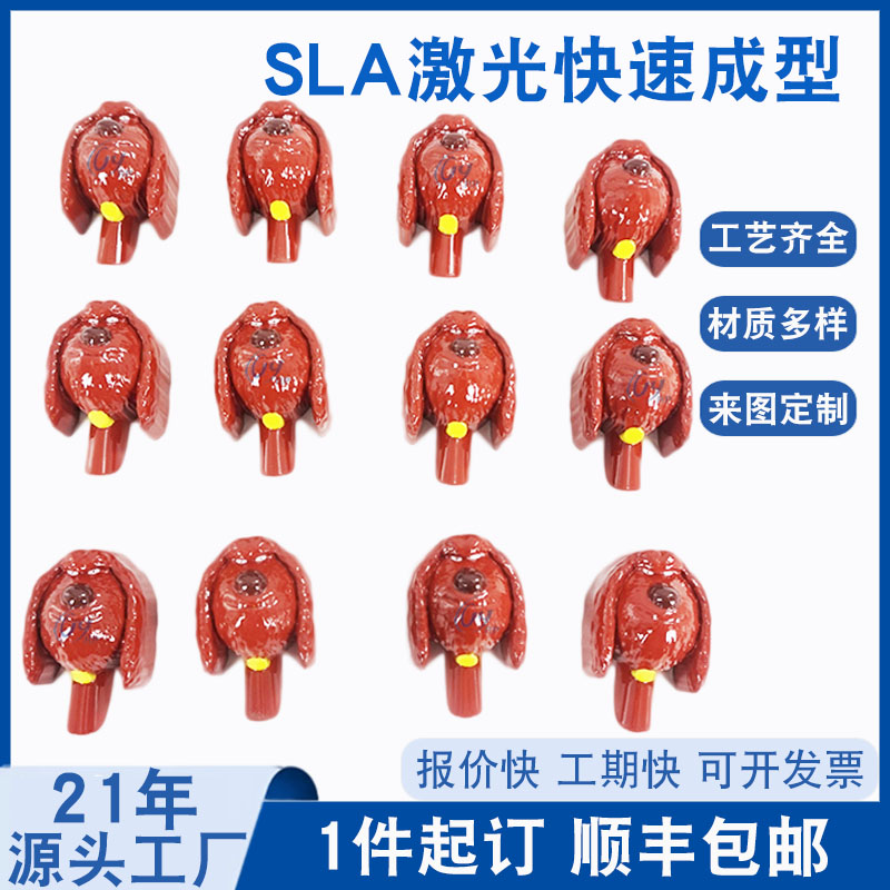 SLA快速成型牙刷配件手板 SLA快速成型牙刷配件手板