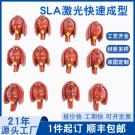 SLA快速成型牙刷配件手板